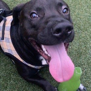 Meet your Posher, Aimee